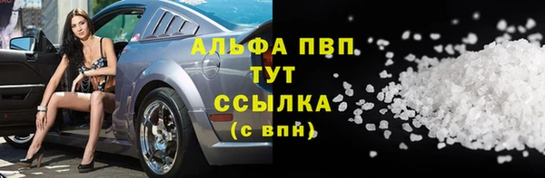 молекула духа Михайлов