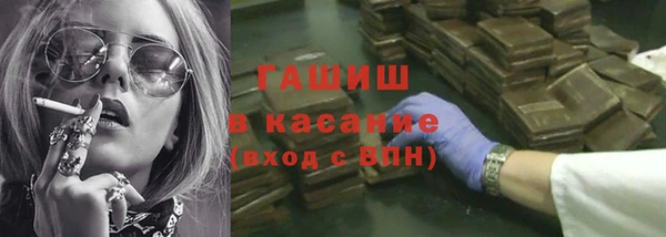 прущие грибы Михайловск