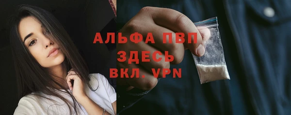 прущие грибы Михайловск