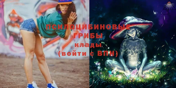 МДПВ Михайловка