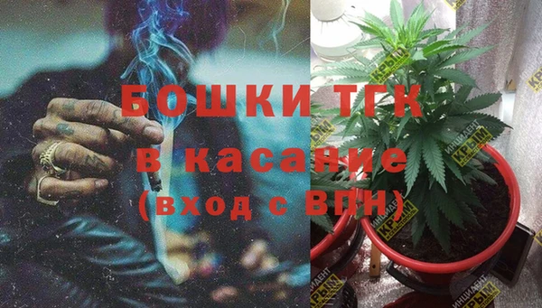 молекула духа Михайлов